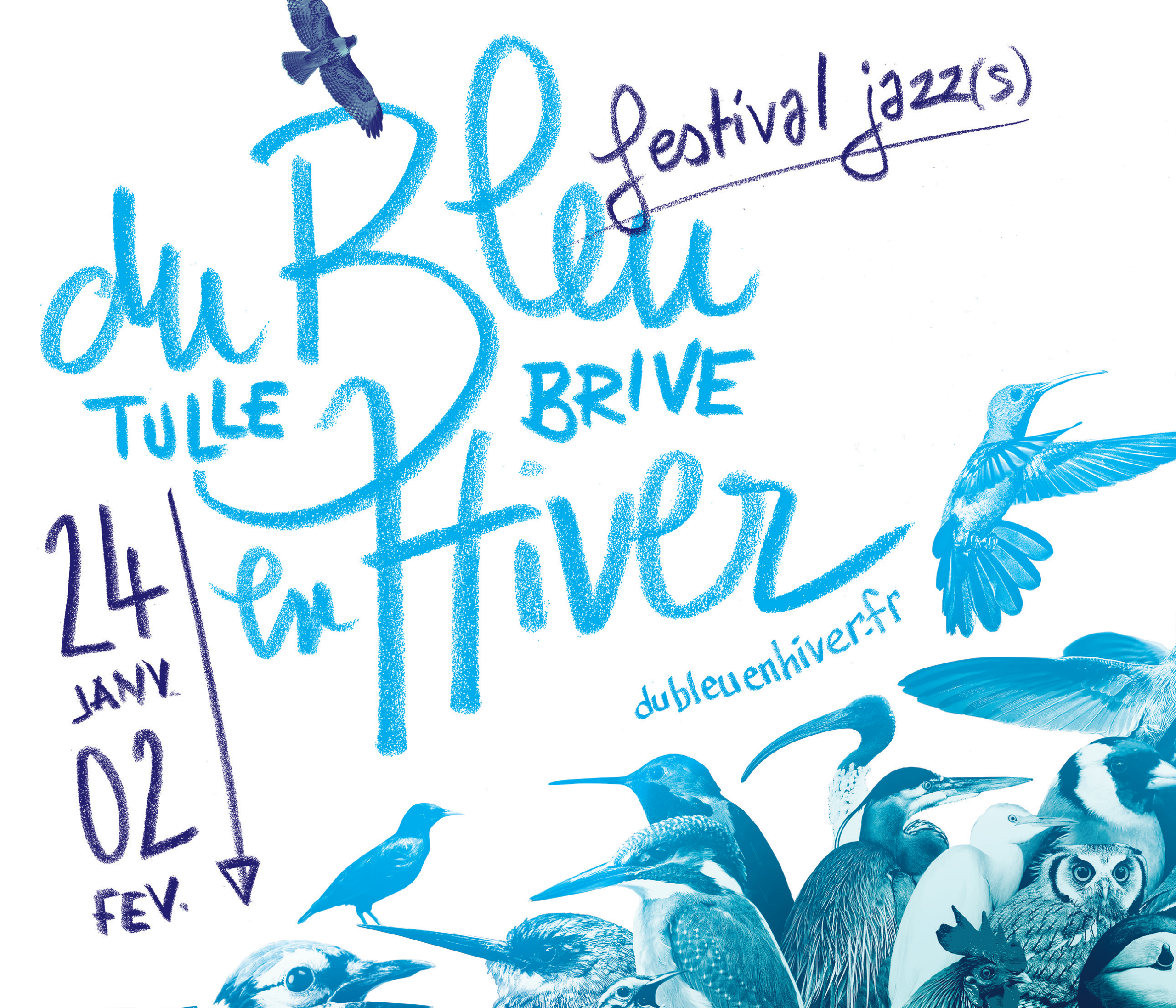 Festival du Bleu en Hiver