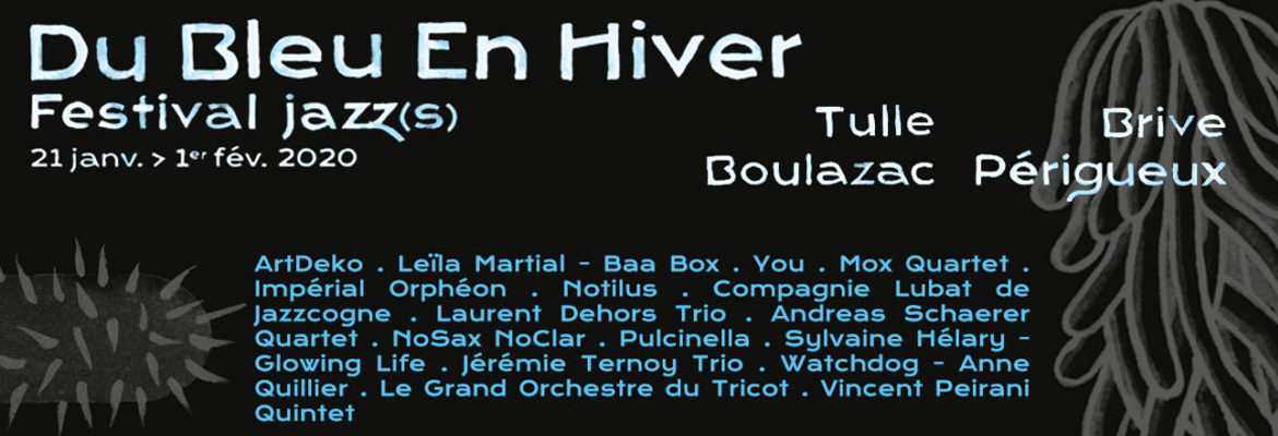 Festival Du Bleu en Hiver 2020