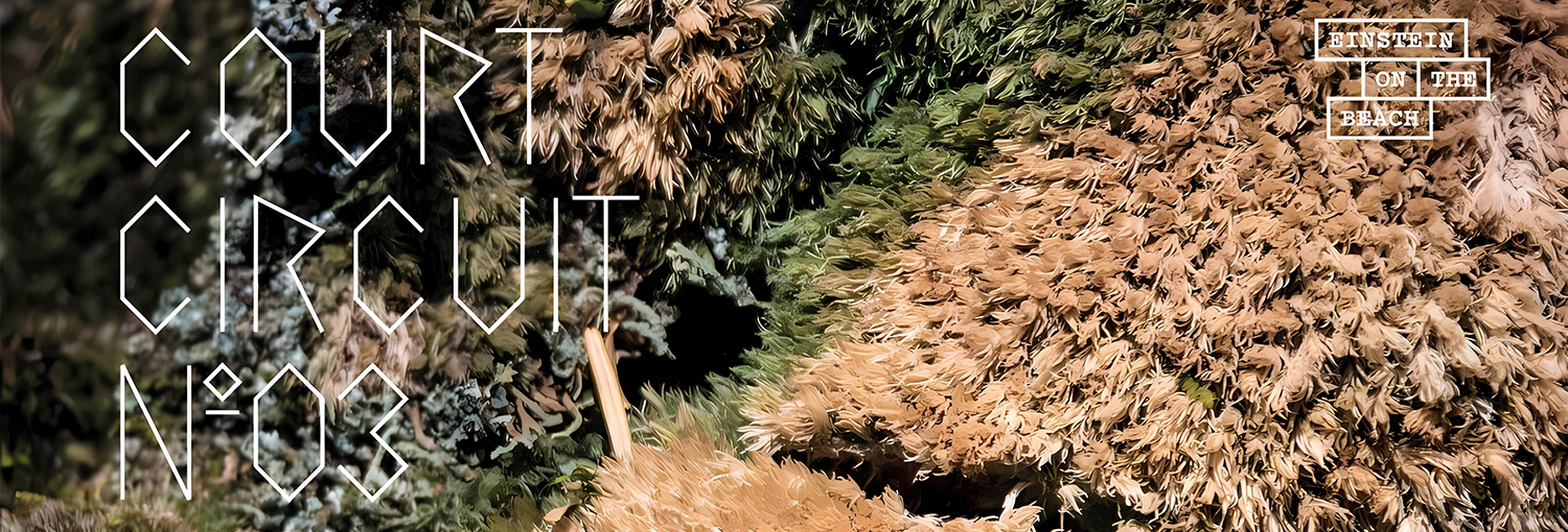 Court-Circuit #3 | 3 – 9 juillet